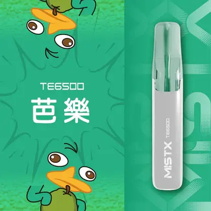MistX 鴨嘴獸 6500口便攜一次性｜高濃度果香冰感層次輸出穩定耐抽設計 長時間使用仍維持清晰擊喉感