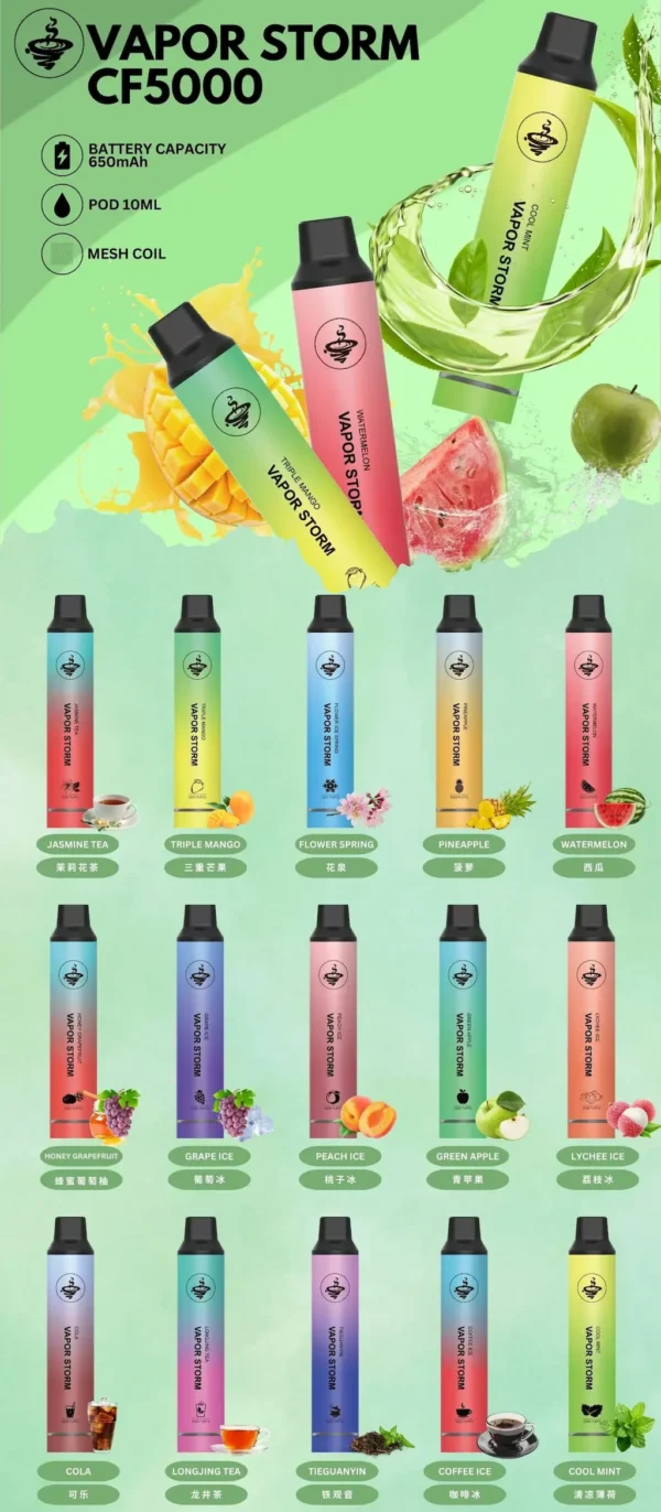 WP風暴.webp VAPOR STORM 風暴5000口 拋棄式霧化裝置|跨越萬次吸吮的品質保證 霧感乾淨俐落擊喉順暢體驗