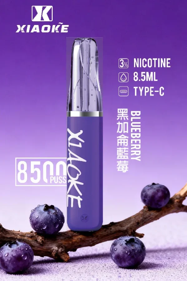 8b2c17ea1d548700b8e9ec2a9e768390.jpg XIAOKE 梟客 8500口拋棄式電子煙|大容量規格設計 輕巧機身搭配長效使用體驗