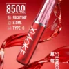 bc29df2b4a45f101f830eaab31d01555.jpg XIAOKE 梟客 8500口拋棄式電子煙|大容量規格設計 輕巧機身搭配長效使用體驗
