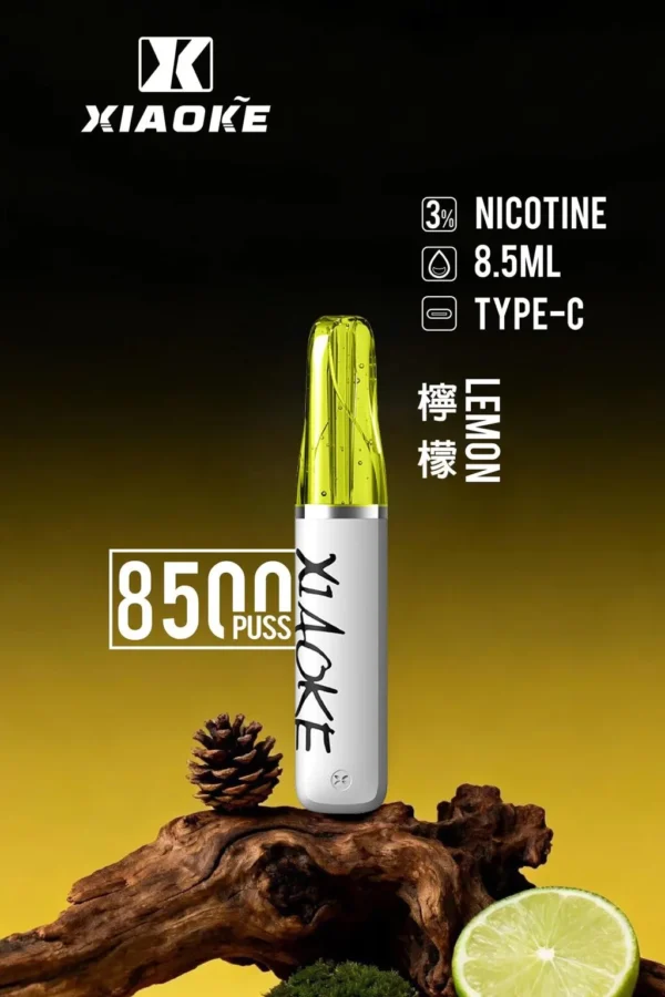 d185d7e28615e84aca893d861a0e04f4-1024x1536.jpg XIAOKE 梟客 8500口拋棄式電子煙|大容量規格設計 輕巧機身搭配長效使用體驗